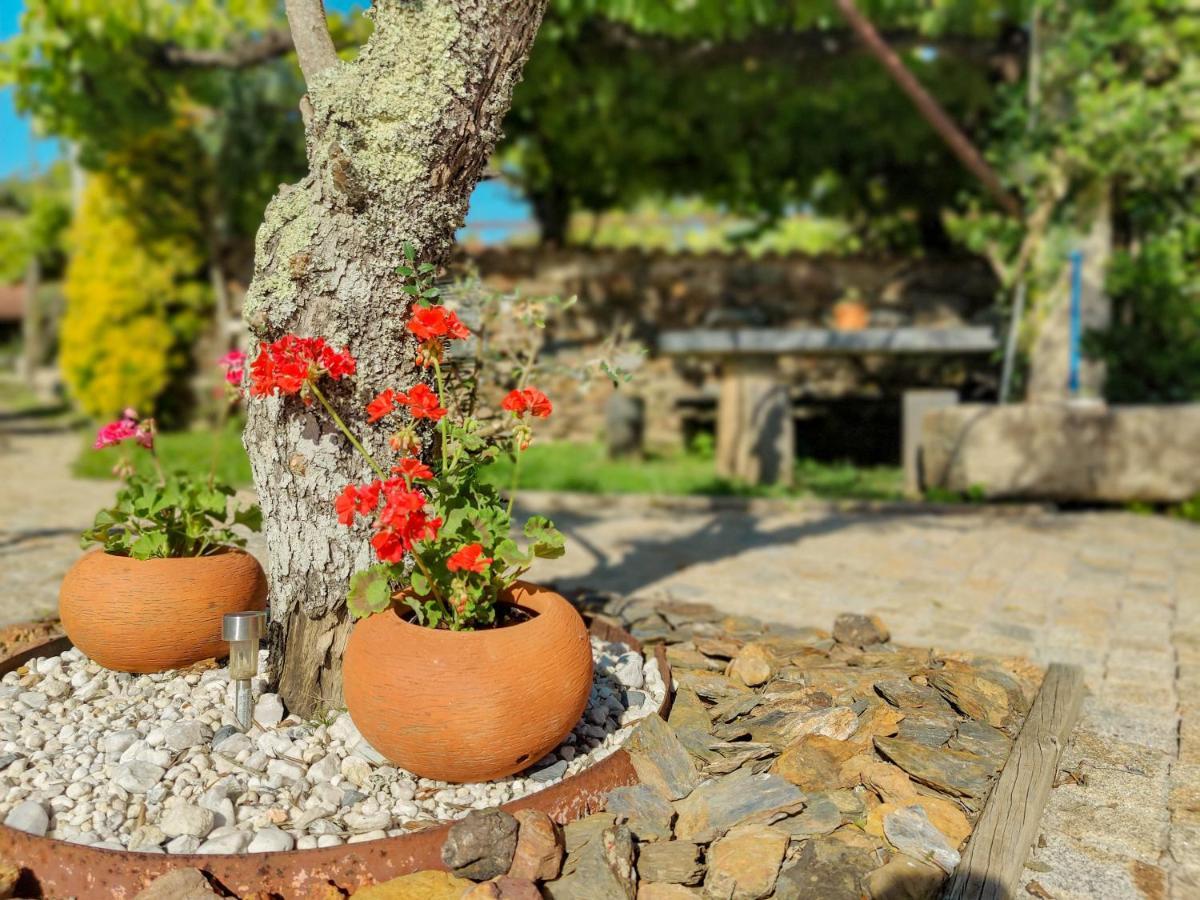 Casa Do Casal - Country House With Swimming Pool Βιάνα ντο Καστέλο Εξωτερικό φωτογραφία